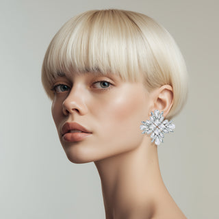 Winter Earrings Silver Crystal