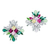 Winter Earrings Silver Multicolor